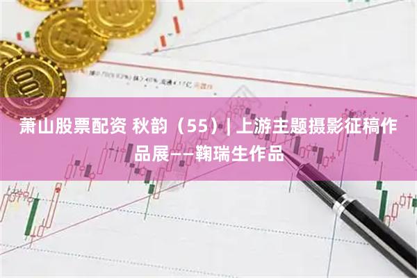 萧山股票配资 秋韵(55)| 上游主题摄影征稿作品展——鞠瑞生作品
